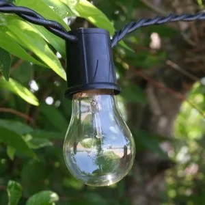 A15 Clear (White) Glass Bulbs E26 Bases (10 Pack)