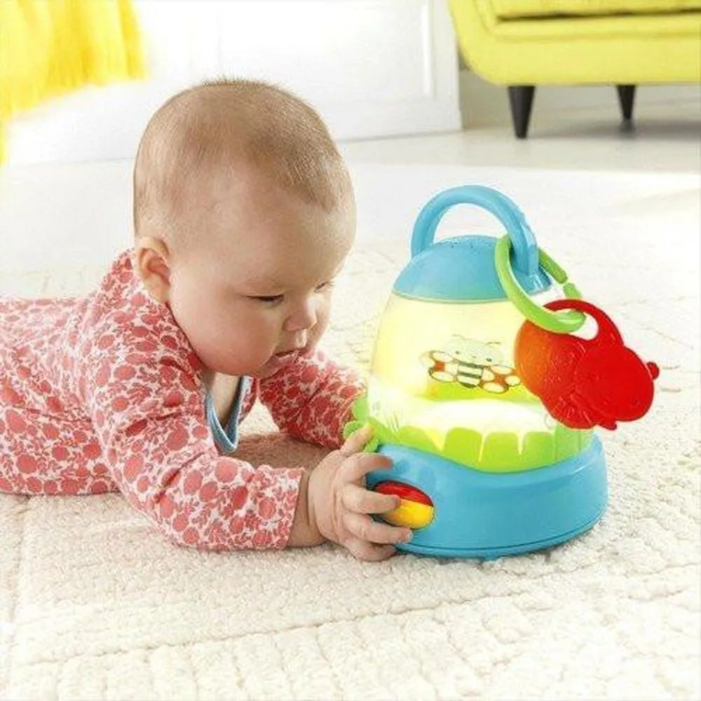 Fisher-Price Flutter 'N Glow Lantern