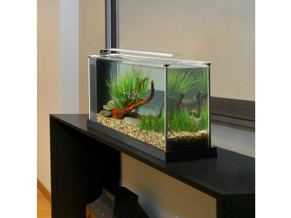 Fluval Spec Aquarium Kit - 19 L (5 US gal) - Black
