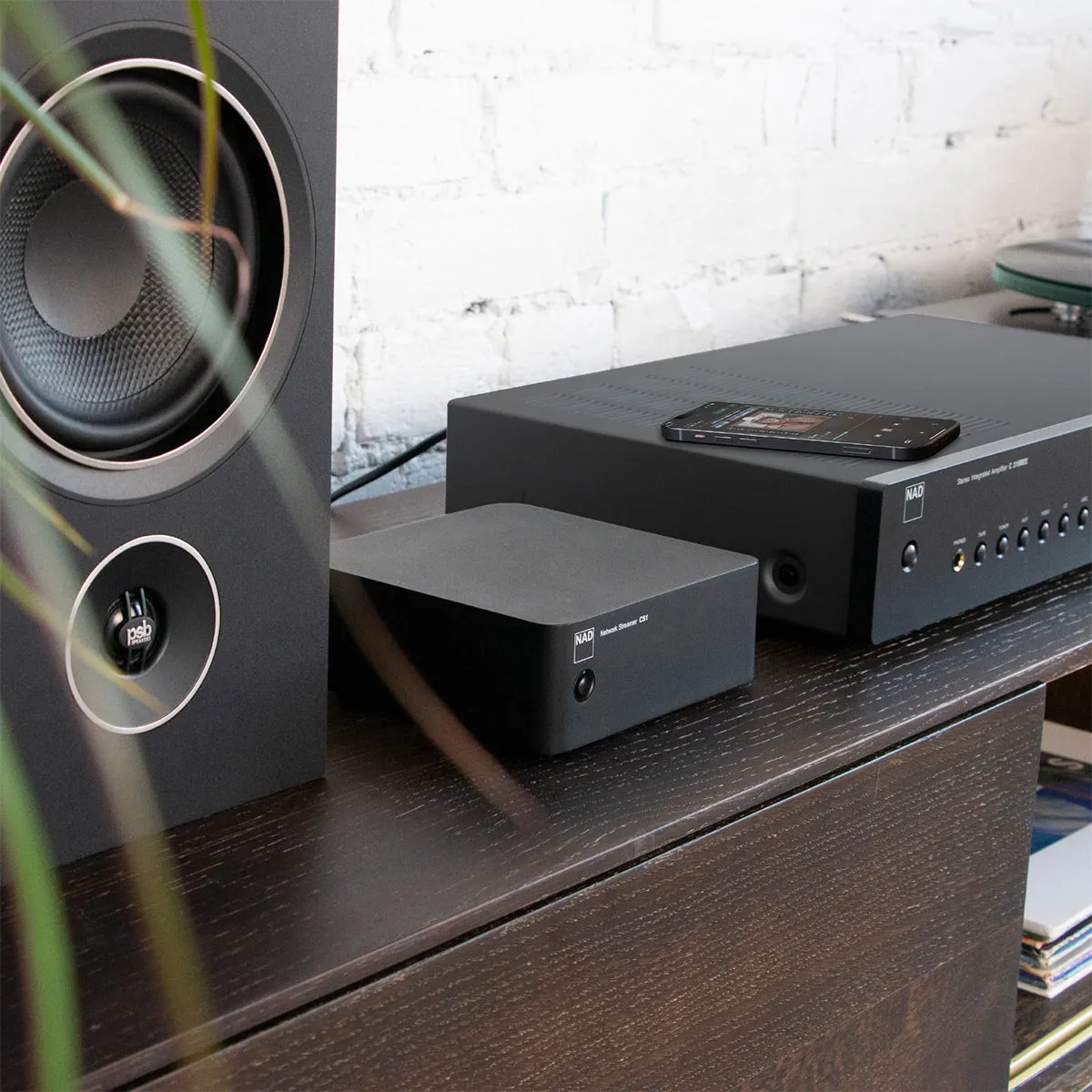 NAD Electronics CS1 Endpoint Bluetooth Network Streamer