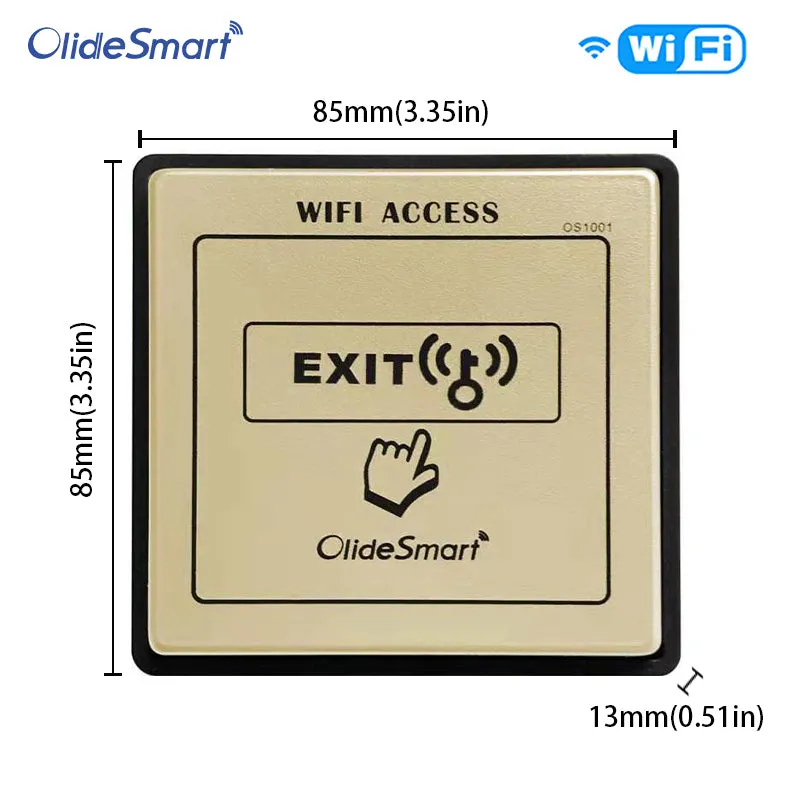 Phone APP Control Swing Door Operator Alexa Google Speaker Workable