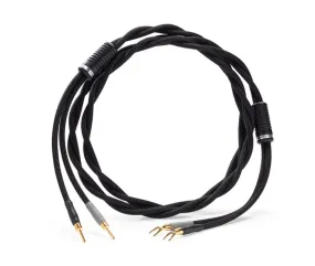 Shunyata Research Theta Speaker Cables - PAIR