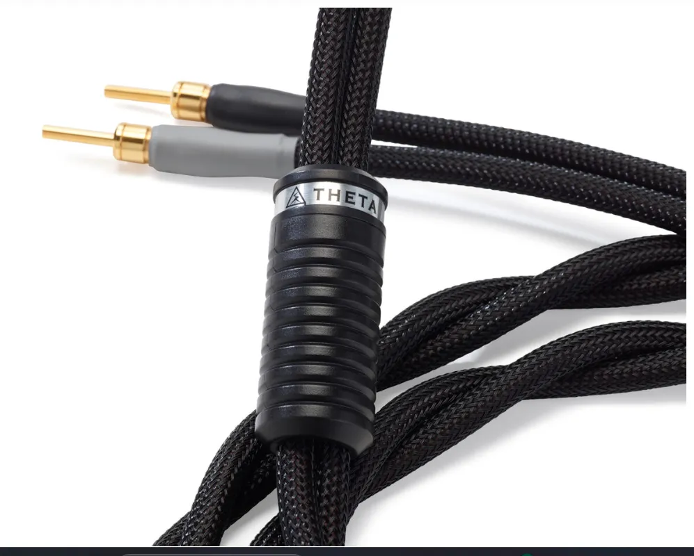 Shunyata Research Theta Speaker Cables - PAIR