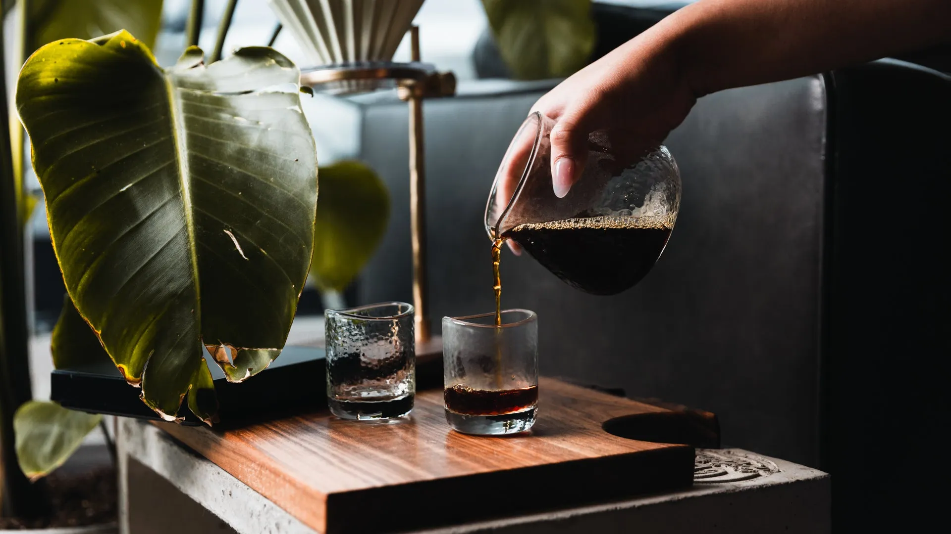 Timemore MUSE Coffee Dripper Stand